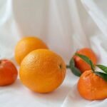 Second Annual Brooksville Tangerine Festival Returns February 7 with Free Admission