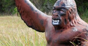 Explore Cryptids at the Library