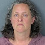 Hernando County Domestic Assault Arrest Raises Pre-Crime Questions