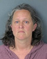 Hernando County Domestic Assault Arrest Raises Pre-Crime Questions