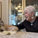 Longtime 'Cat Lady' and Humanitarians Volunteer Maggie Hypes Reluctantly Retiring