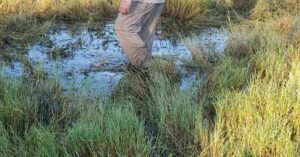 Wetlands Warning Sign Near Crystal River