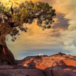 Art Center of Citrus County to Host Photography Exhibit