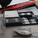 Deputies seize fentanyl, meth in Crystal River raid; 2 arrested
