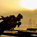 Dragon Boat Festival 2026 Draws Teams and Spectators to Inverness