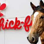 Man Rides Horse into Chick-fil-A Drive-Thru in Zephyrhills
