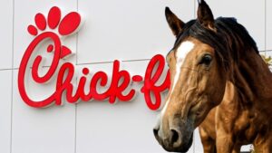 Man Rides Horse into Chick-fil-A Drive-Thru in Zephyrhills
