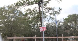New Port Richey Council Raises Concerns Over License Plate Cameras