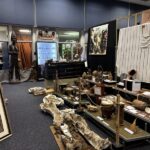 Pasco County Museum in Race Against Time to Find New Home for Irreplaceable Artifacts