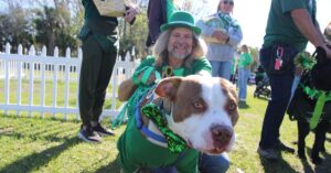 Pooches on parade: Annual St. Patrick’s Day Dog Parade in Crystal River, March 17