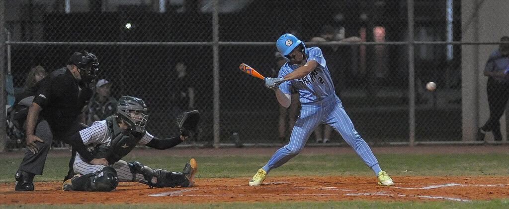 Sharks take advantage of Hornet errors in shutout