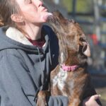 Shelter Kennel Cooling Raises Concerns in Citrus County