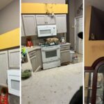 Woman Arrested for Animal Cruelty in Citrus County