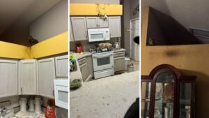 Woman Arrested for Animal Cruelty in Citrus County