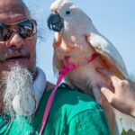 Ziggy's Haven Bird Sanctuary Named DCBA March Nonprofit of the Month