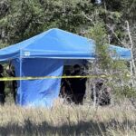 Body Found Near Elementary School in New Port Richey