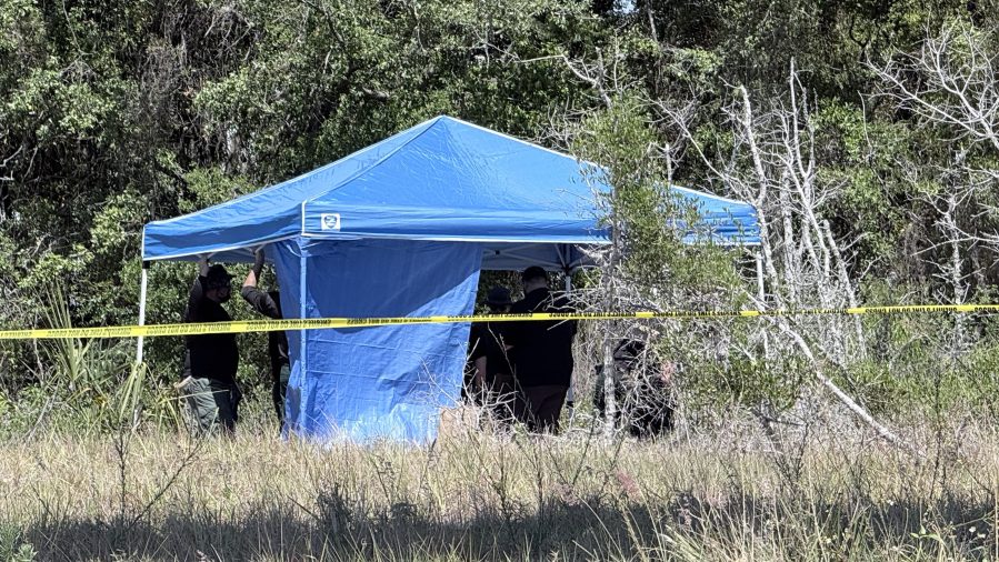 Body Found Near Elementary School in New Port Richey