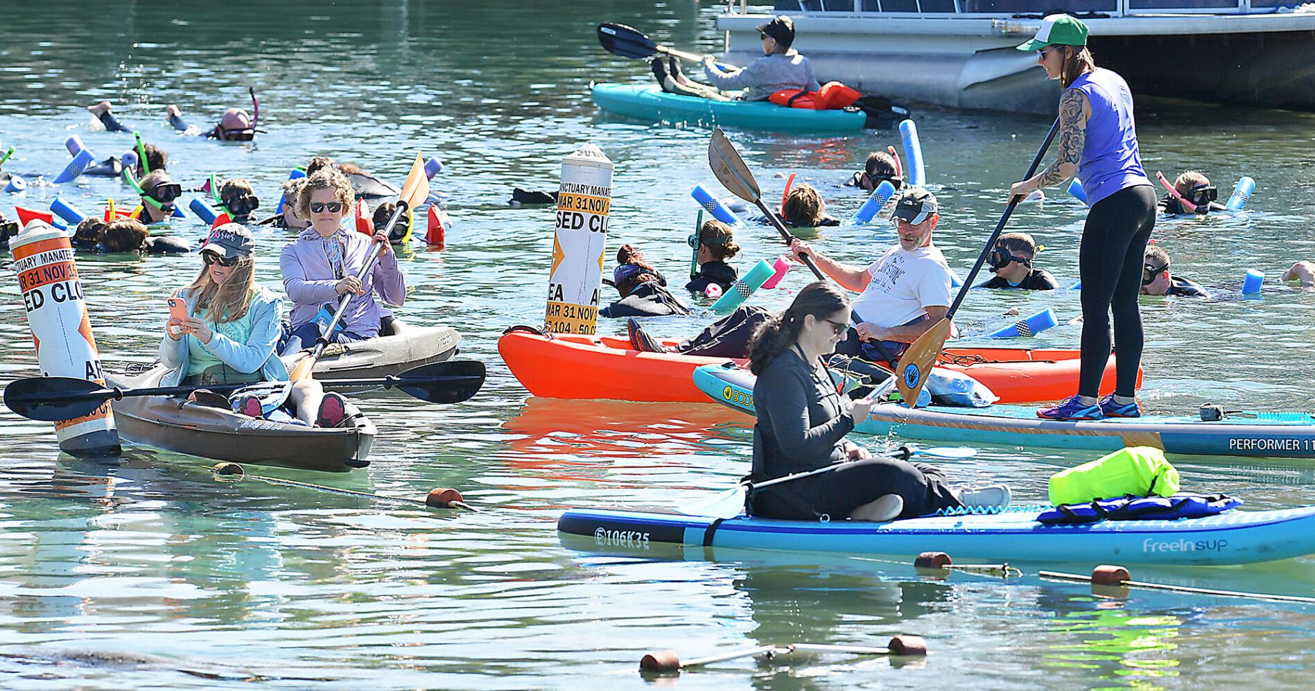 Crystal River revisits overcrowding issues with workshop