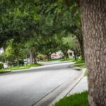 Pasco County Approves Stricter Tree Preservation Rules with Higher Developer Costs