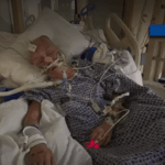 Pasco County Hit-and-Run Crash Leaves Mother with Brain Bleed, Broken Skull