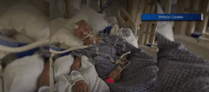 Pasco County Hit-and-Run Crash Leaves Mother with Brain Bleed, Broken Skull