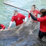 Tourism vs. Wildlife: 'We're pushing them out'