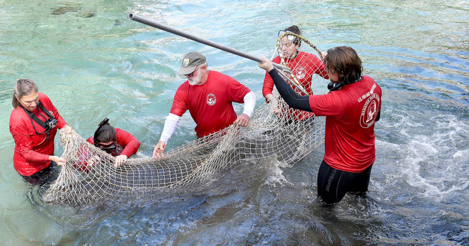 Tourism vs. Wildlife: 'We're pushing them out'