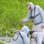 FWC Captures Alligators After Woman Bitten at Lake Henderson in Inverness