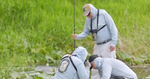 FWC Captures Alligators After Woman Bitten at Lake Henderson in Inverness