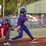 Hernando High Baseball Falls Short in Regional Final