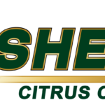 Homosassa Man Arrested After Stealing Vehicle, Leading Deputies on Chase