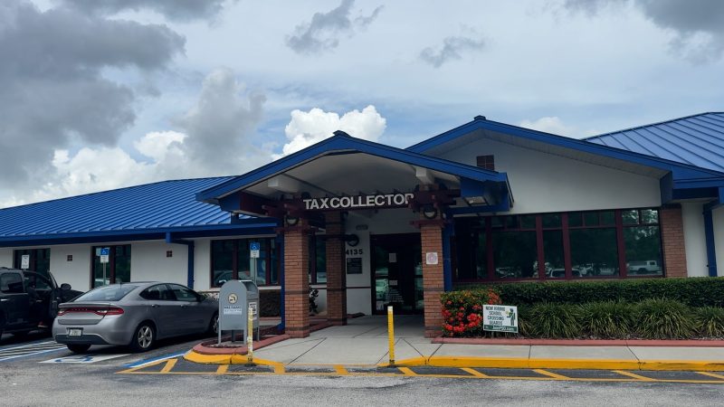 Tax Collectors Face Issues with State System 'Orion', Possible Delays at DMV Offices