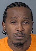 Bahamas-Born Brooksville Man Accused of Violent Attack