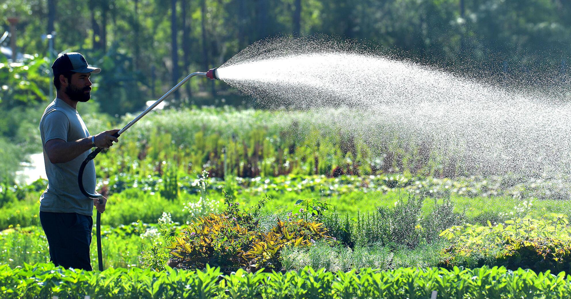 Crystal River farmer grows food, faith, and community