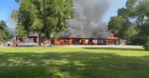 Fire Destroys Crystal River Beekeeping Operation, Community Rallies