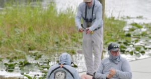 FWC catches alligators following gator attack at Lake Henderson in Inverness