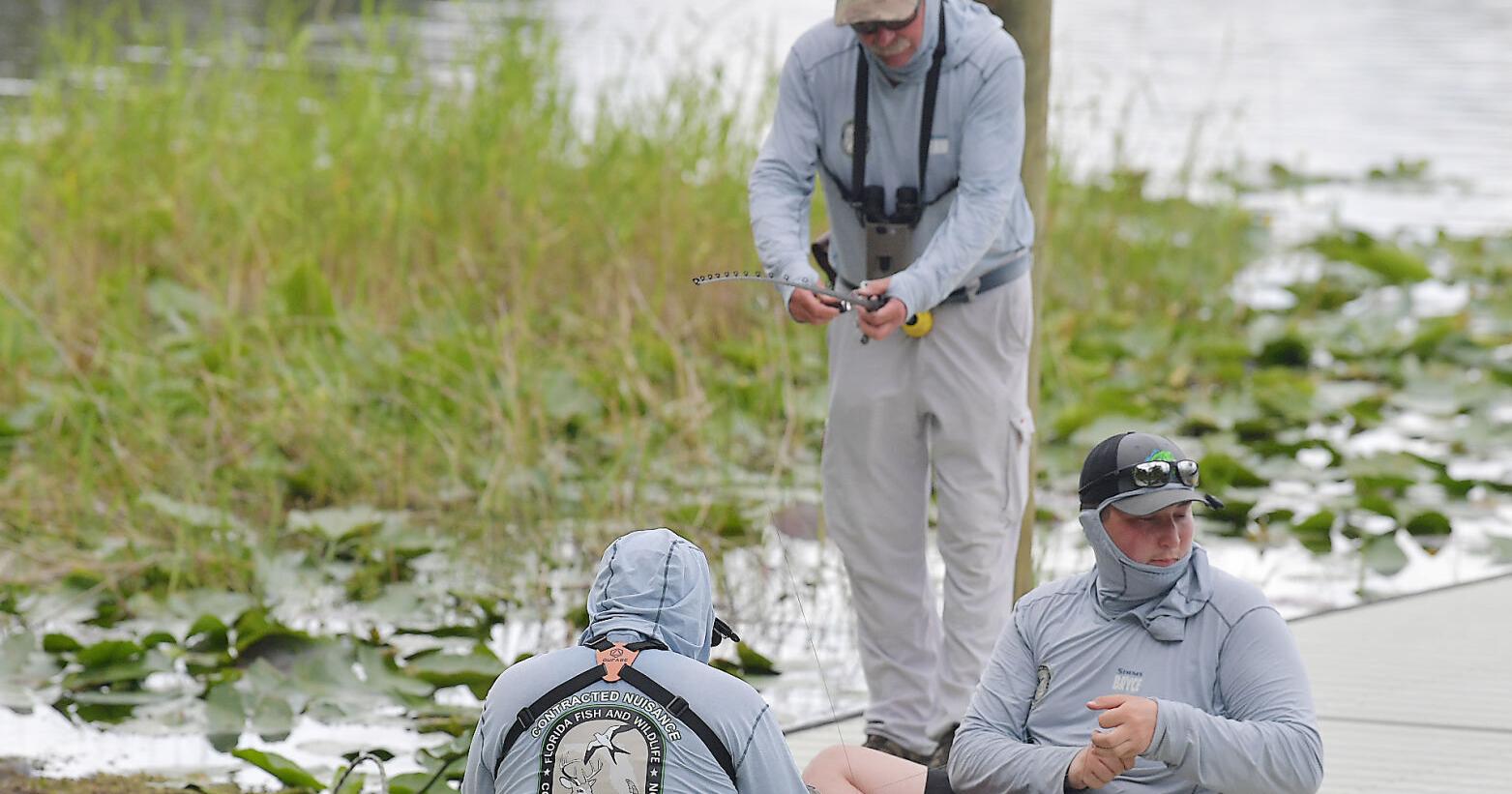 FWC catches alligators following gator attack at Lake Henderson in Inverness