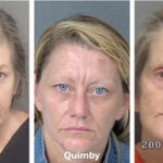 Last Member of Female Fraud Ring Pleads Guilty in Hernando Court