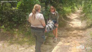 Overheated Dog Rescued in Citrus County Forest