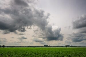 Pasco County Buys 1,900 Acres for Conservation