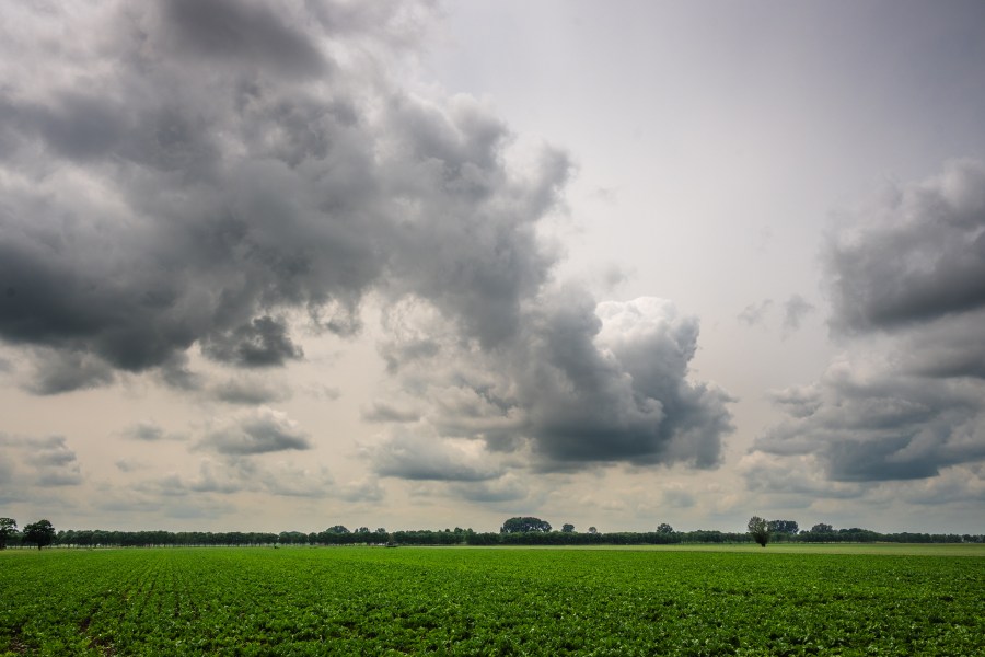 Pasco County Buys 1,900 Acres for Conservation