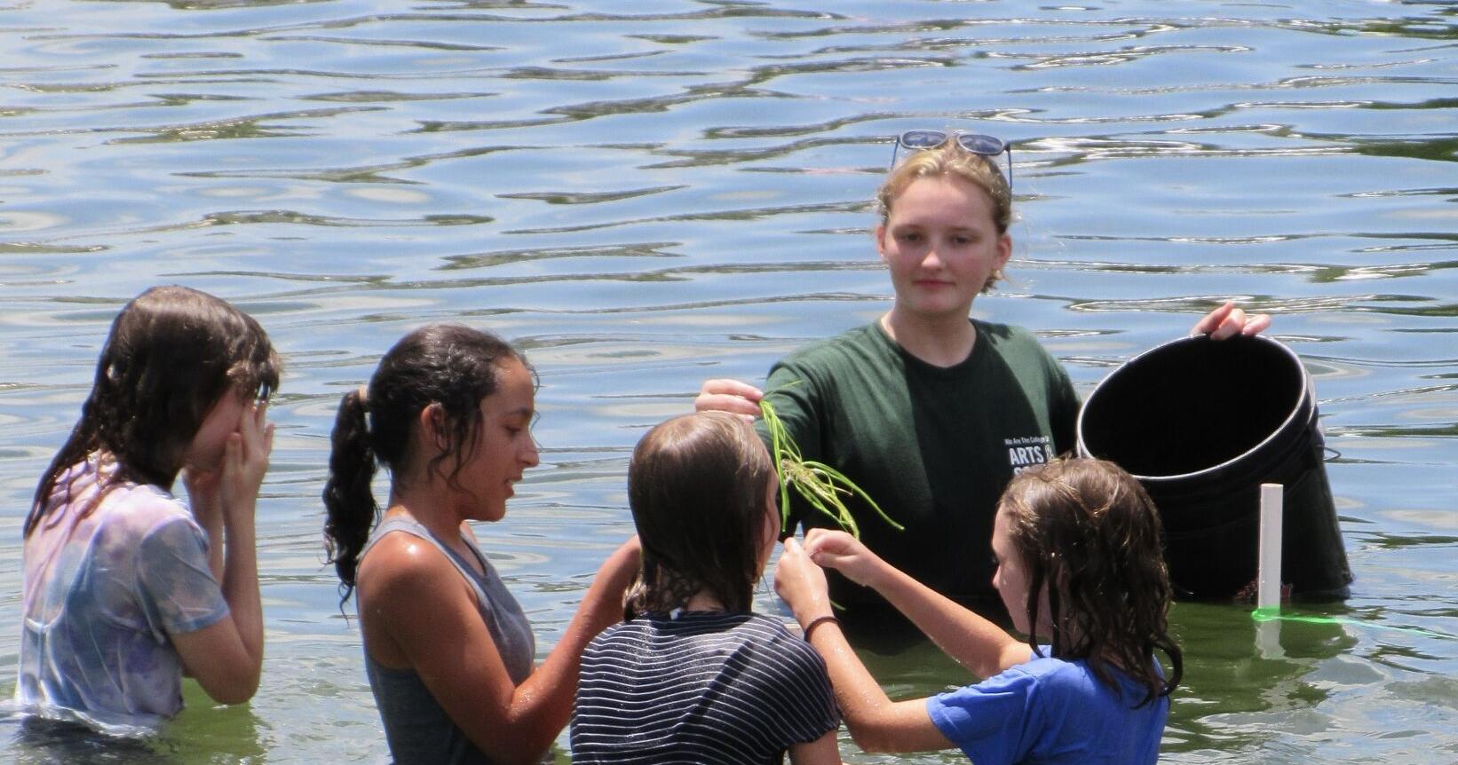 Students Continue Decade of Kings Bay Restoration, FWC Catches Alligators Following Gator Attack