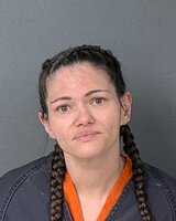 Woman Sentenced to 25 Years in Prison for Fatal Hit-and-Run in Brooksville