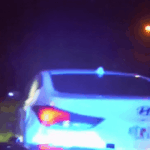 Wrong-way driver jumps fence after pursuit on I-75 in Pasco County