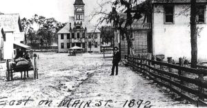 260-Year-Old Oak Tree Witness to Citrus County History