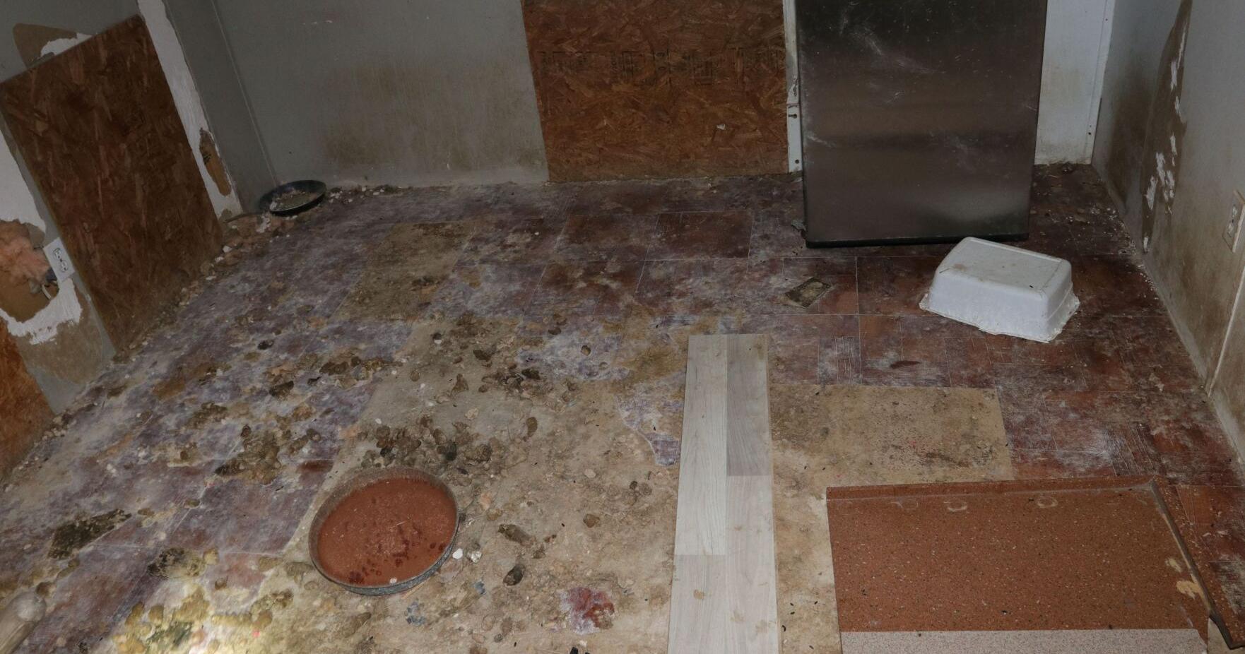 Crystal River dog breeder faces multiple animal cruelty charges