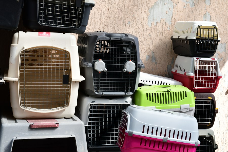 Crystal River Man Arrested for Felony Animal Cruelty