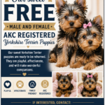 Featured Advertiser Spotlight