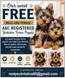 Featured Advertiser Spotlight