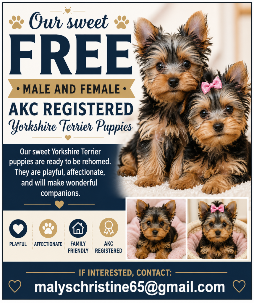 Featured Advertiser Spotlight